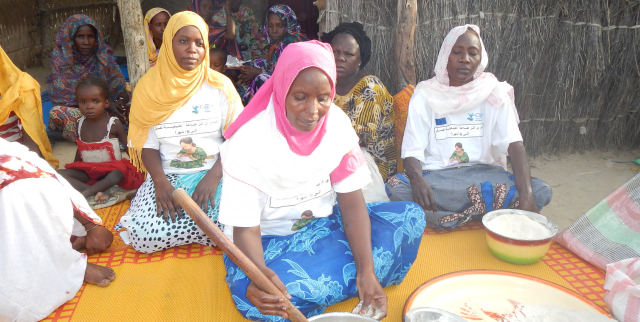 Ciad, il successo di Fanné: educazione alimentare e buone pratiche per le mamme