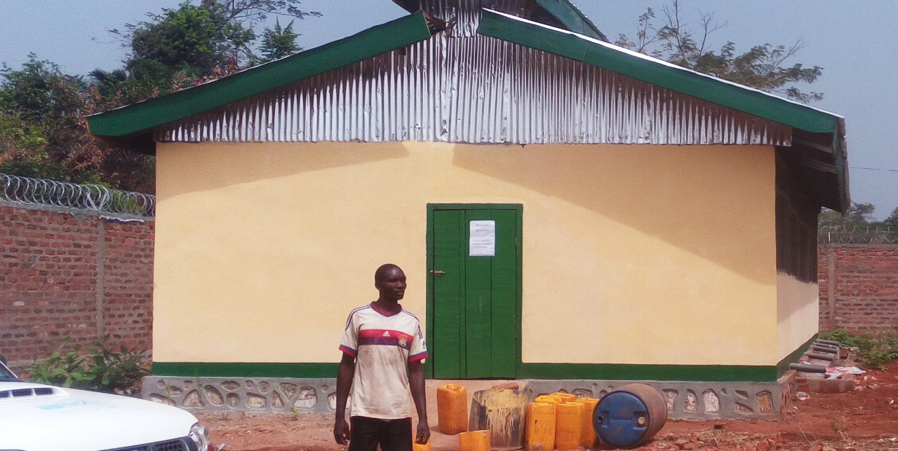 CAR: pig farming is revived by genetics