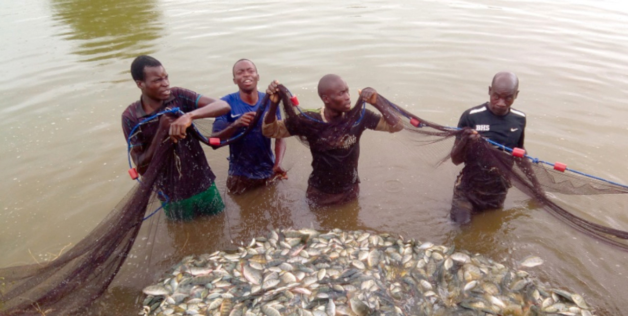 Malawi: il primo pescato è un successo