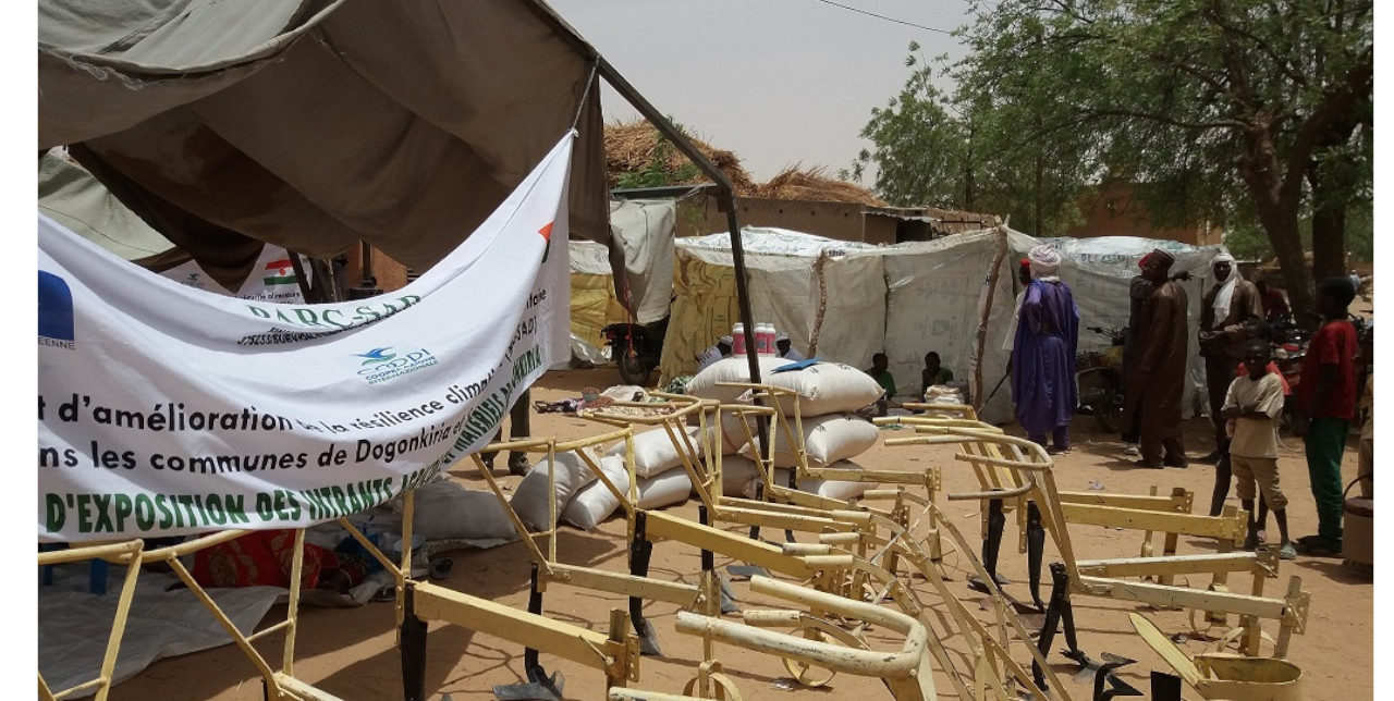 Niger: sementi migliorate per adattarsi ai cambiamenti climatici