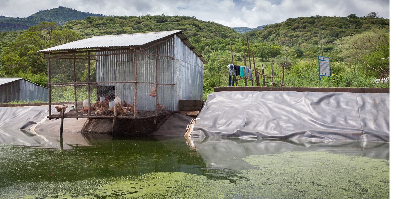 Ethiopia: photovoltaic, beekeeping and aquaculture in Afar