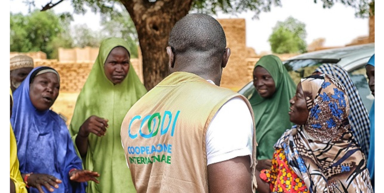 Niger : 120 villages augmentent leur résilience aux effets du changement climatique