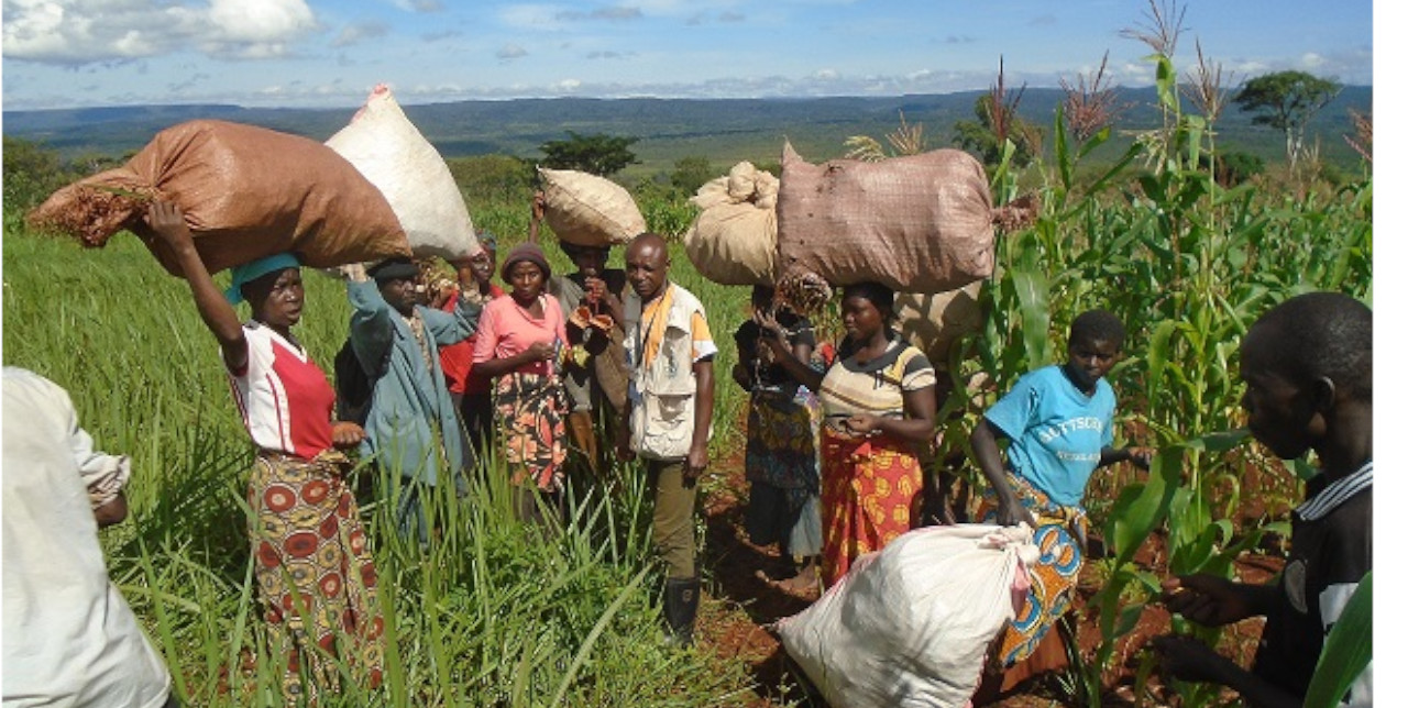 RDC : plus de sécurité alimentaire pour sauver le parc de l'Upemba