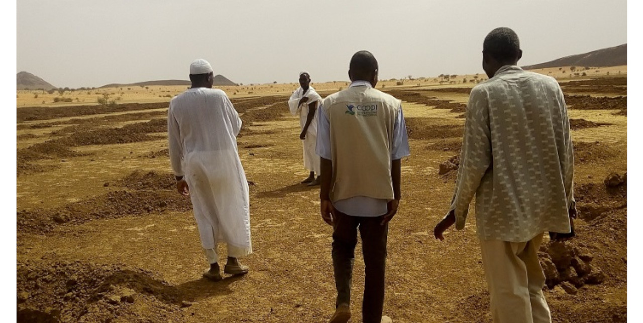 Cambiamento climatico: 10.000 plantule per ripristinare le foreste comunitarie in Nord Darfur
