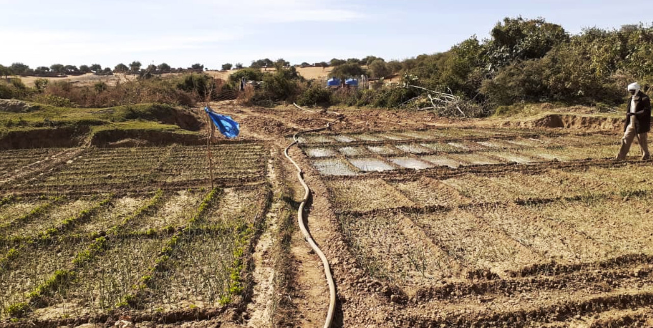 Darfur. Solar-powered irrigation systems supply water to 18,000 households