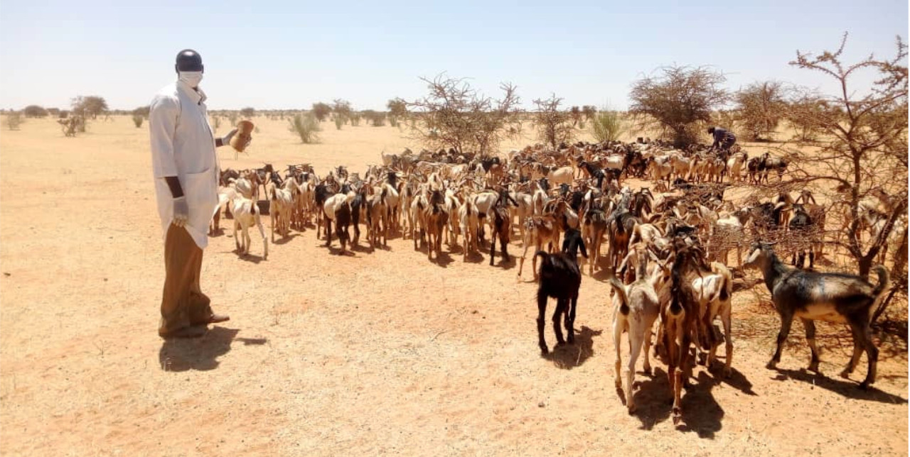 Nord Darfur. Una risposta rapida alle inondazioni per ricostruire le comunità