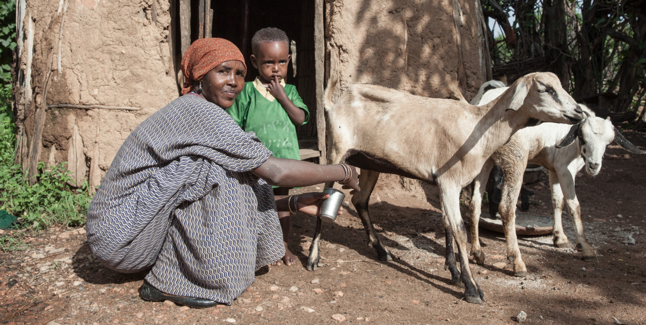 Lettera aperta per prevenire la fame nel mondo