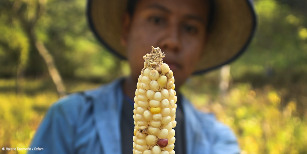 Centroamerica. Siccità e Covid-19 aggravano la crisi alimentare