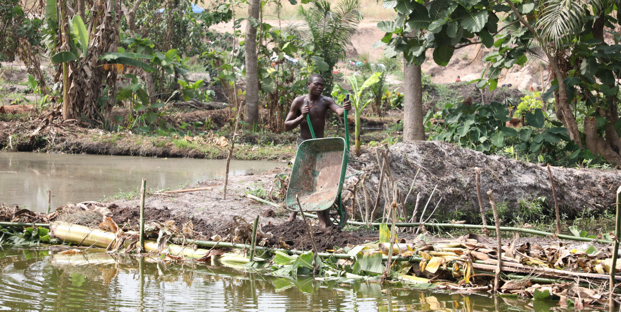 RCA. Con l'Unione europea, COOPI rilancia la piscicoltura