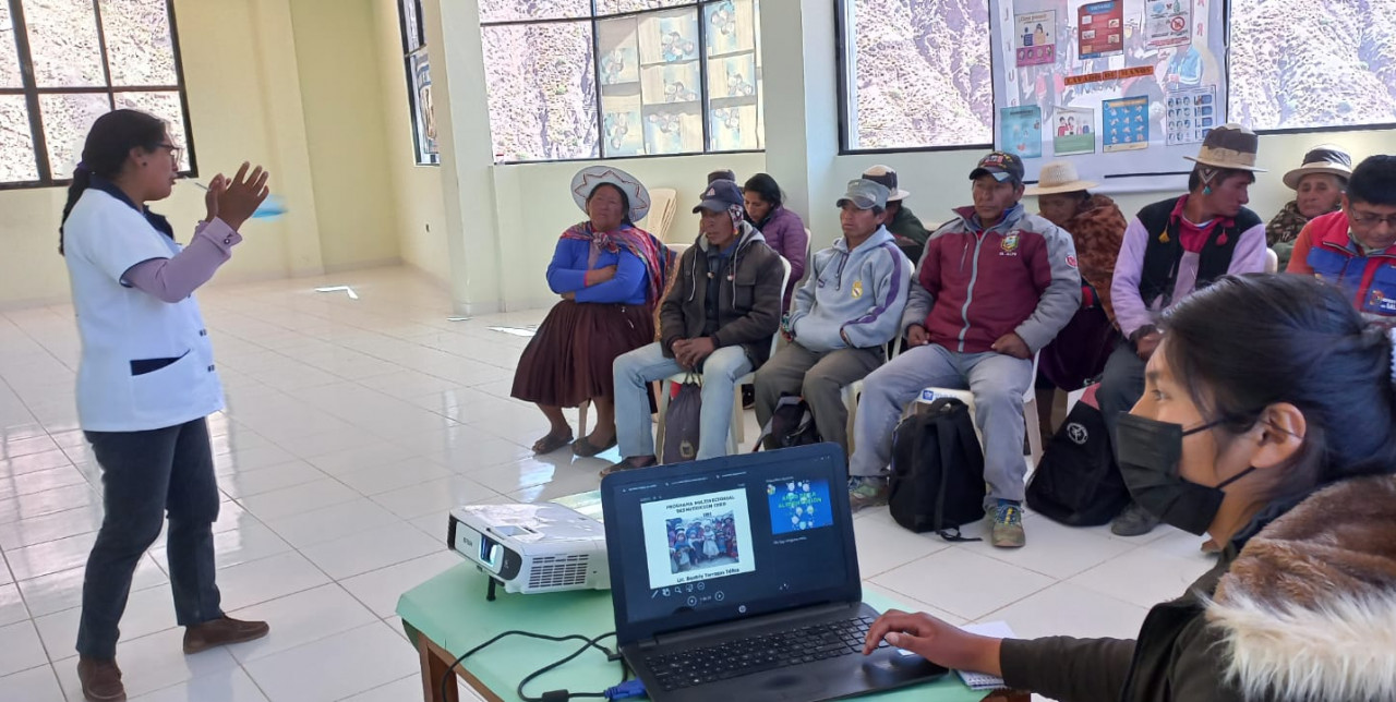 Bolivia. The interaction between traditional and modern medicine during Covid-19 