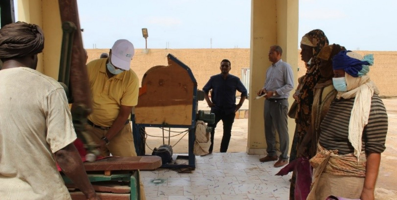 Mauritania. EU visits El Mina leather tanning center