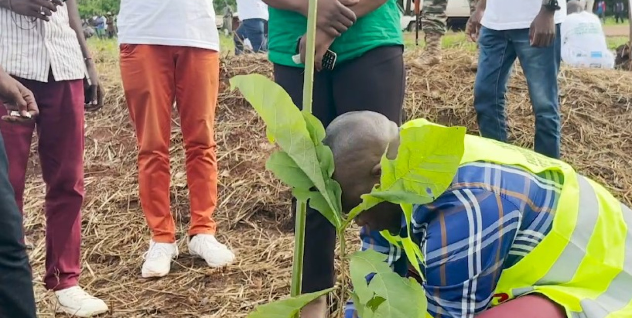 Repubblica Centrafricana. I giovani salvano la foresta