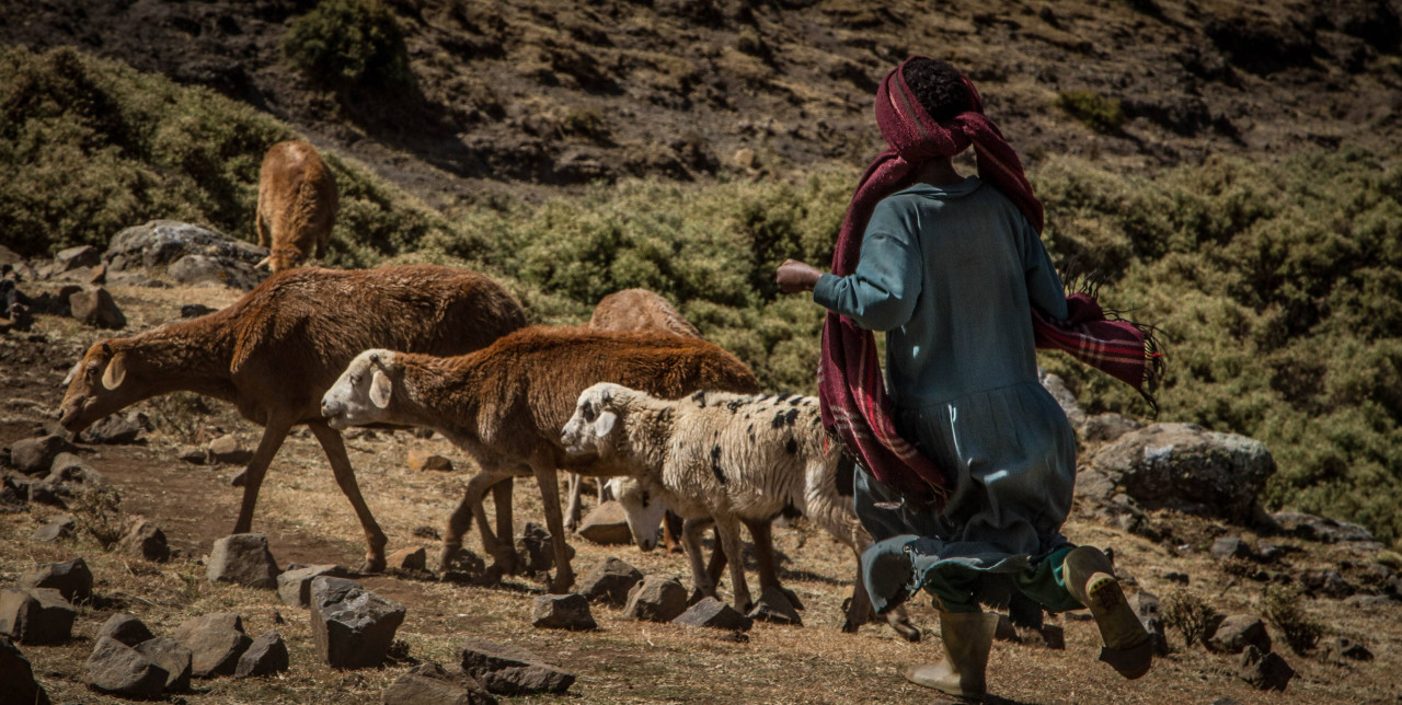 Ethiopia: new economic opportunities