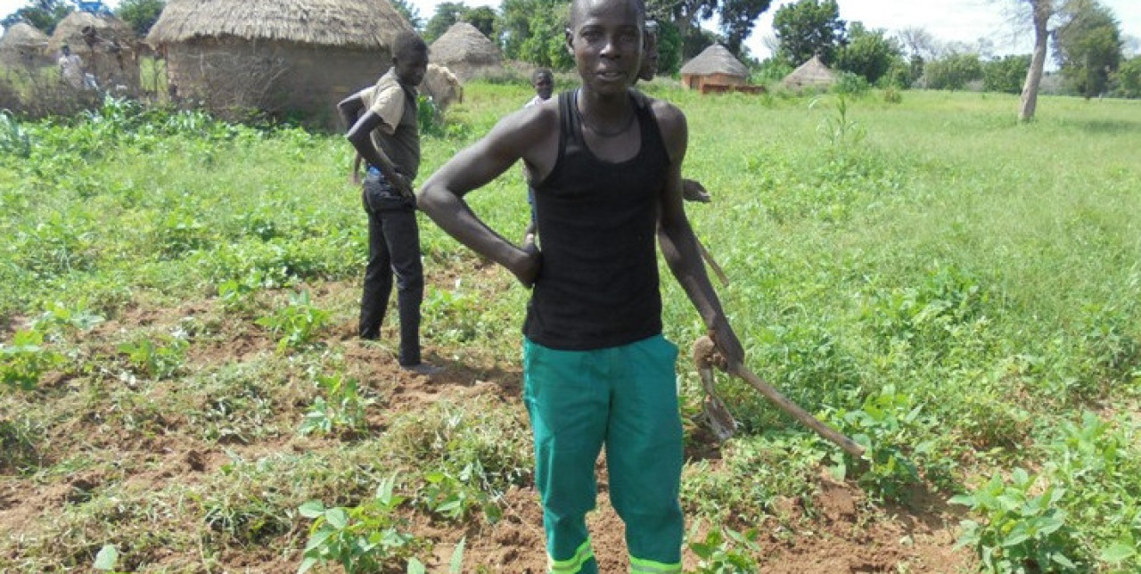 Fighting the food crisis in Cameroon