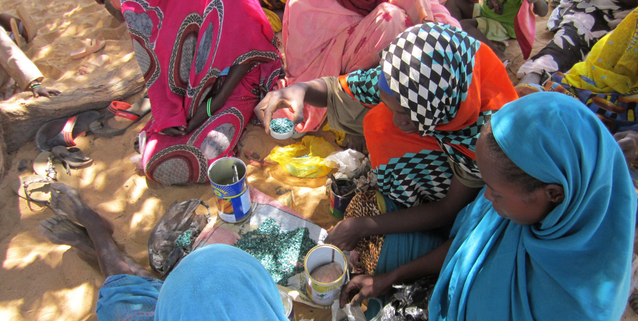 Supporting women-headed households in Sudan