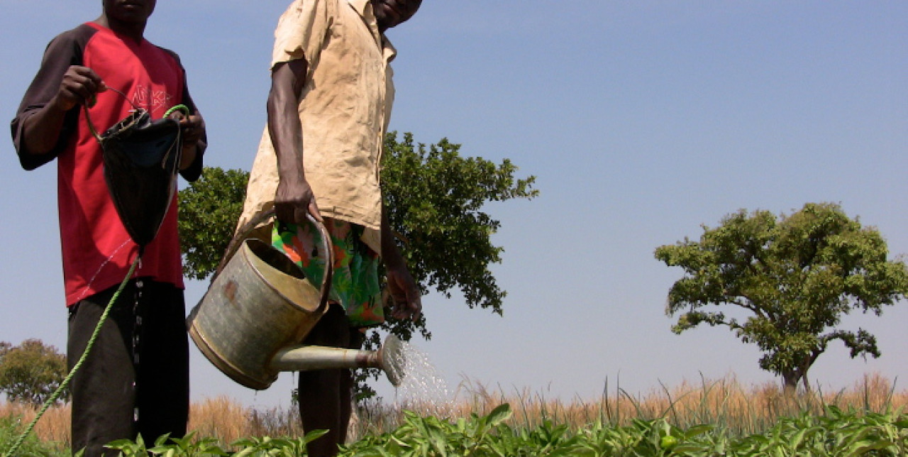 Gli strumenti per vincere la fame