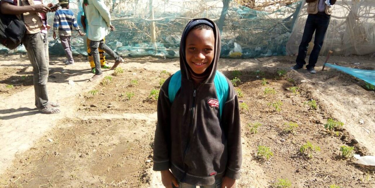Niger: des jardins scolaires comme matière d'enseignement