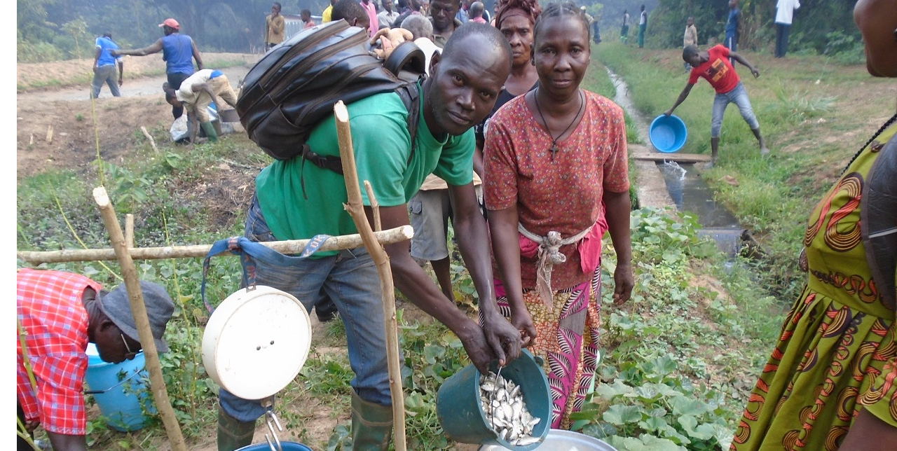 Centrafrique : l'importance des animateurs pour le relance de l'élevage