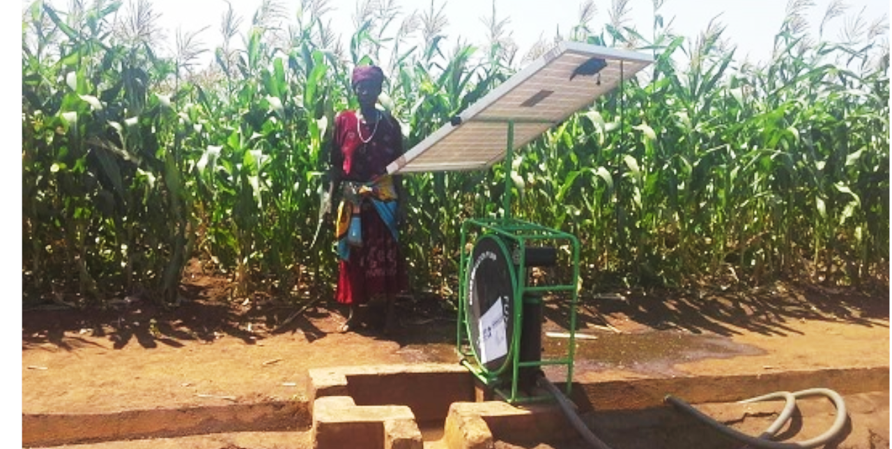 Malawi, agricoltura irrigua. "Grazie a COOPI, abbiamo ottenuto tre raccolti l'anno"
