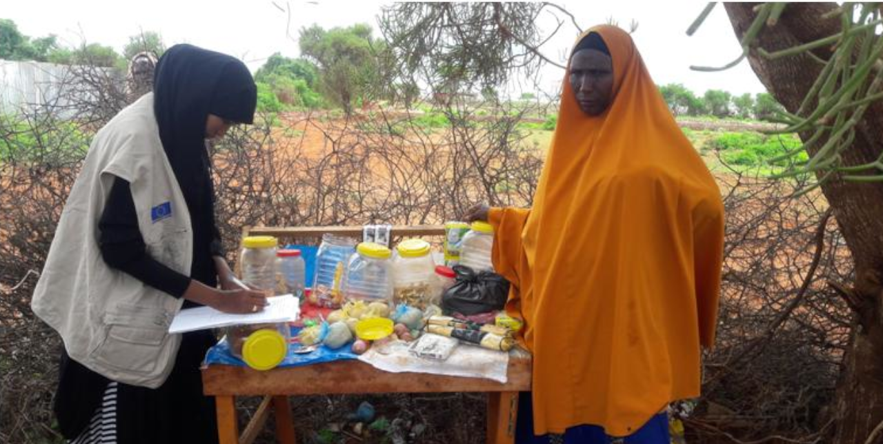 Mobile money per rafforzare il potere di acquisto in Somalia