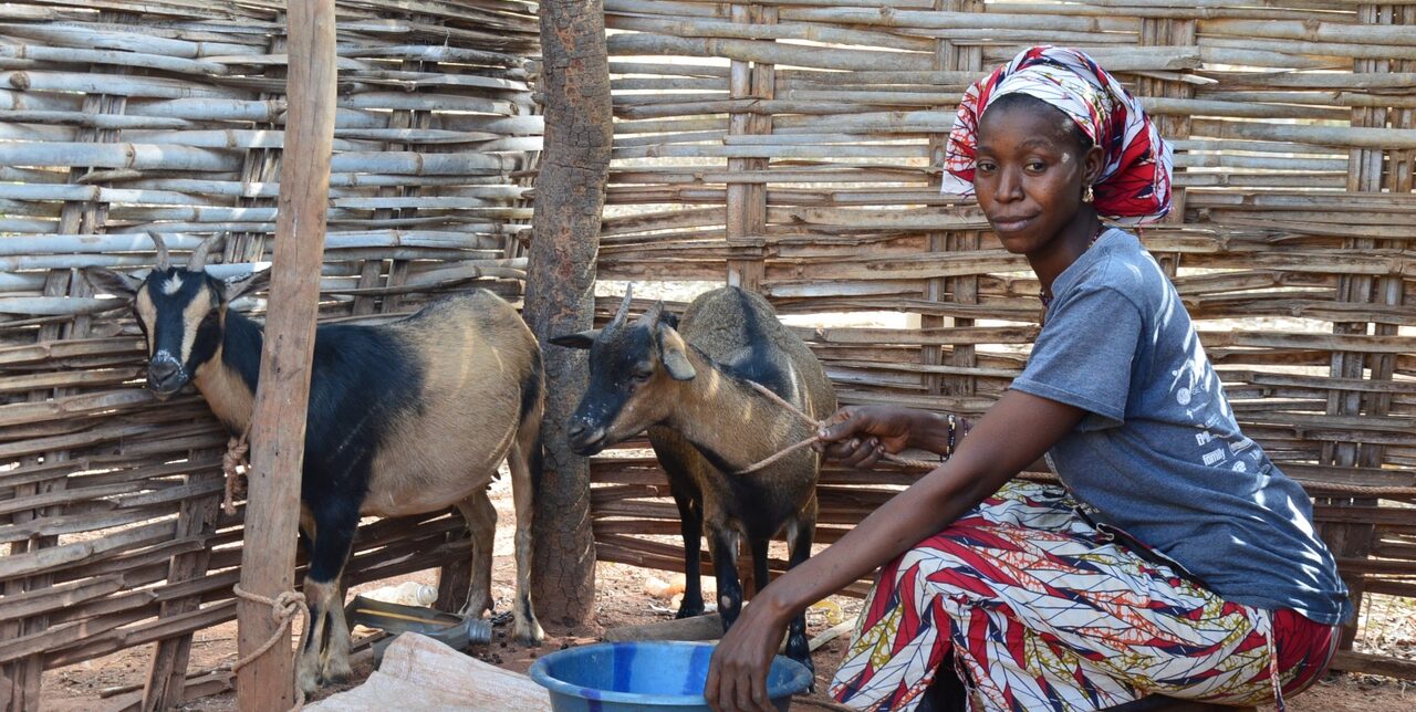 COVID-19. COOPI launches an assessment on food security and livelihoods in nine countries
