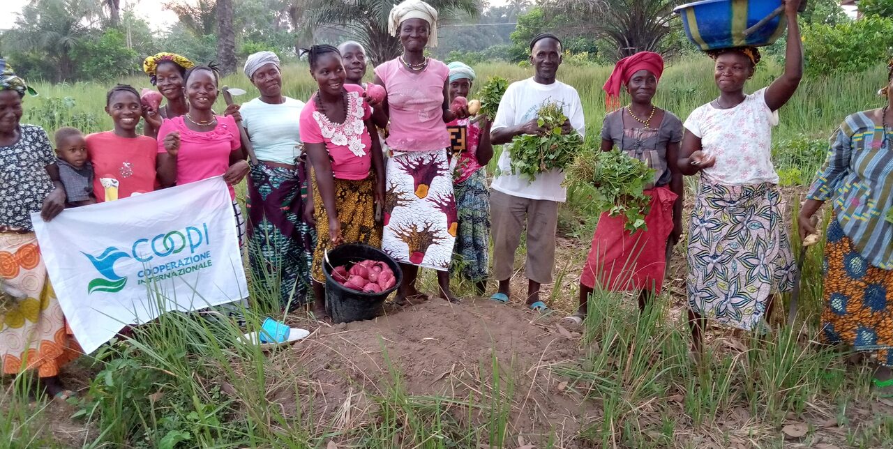 Sierra Leone. COOPI promotes orange flesh sweet potato to fight malnutrition