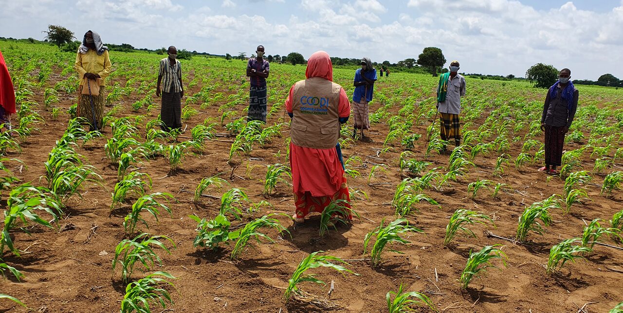 In Somalia, il "Modificatore di Crisi" funziona