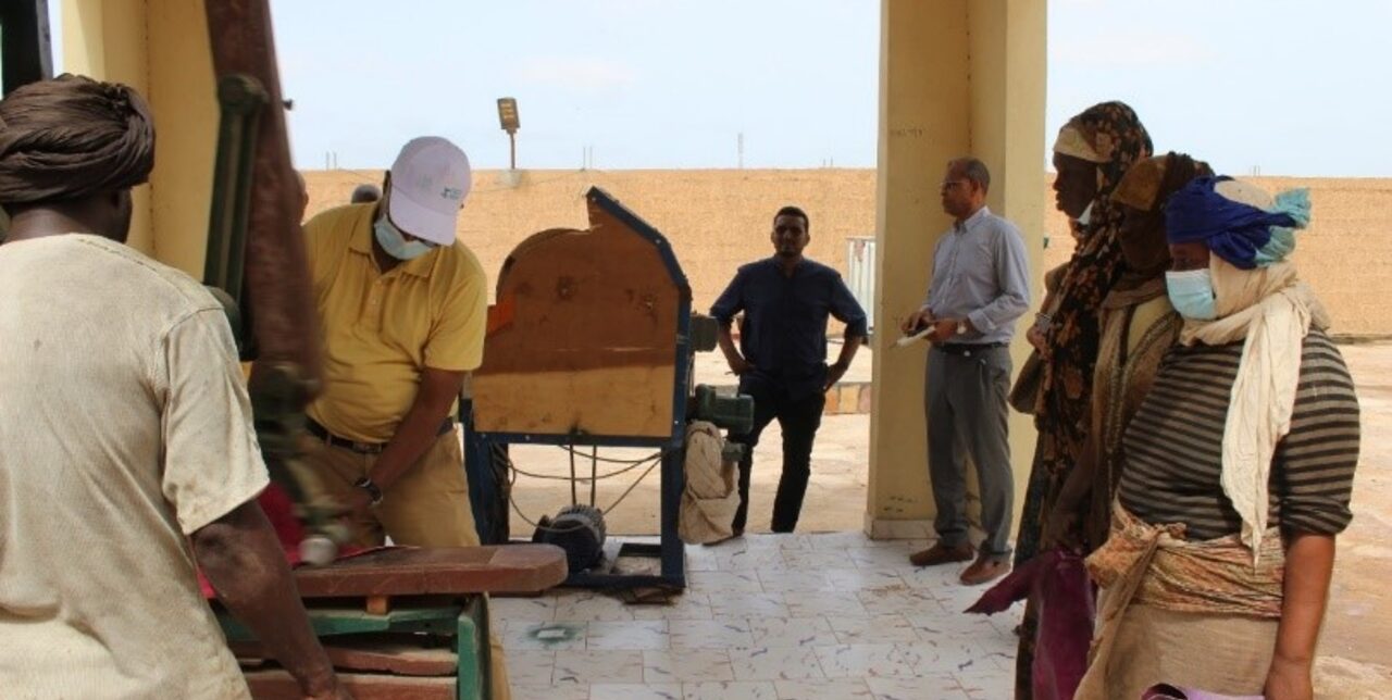 Mauritanie. L'UE visite le centre de tannage de peaux d'El Mina