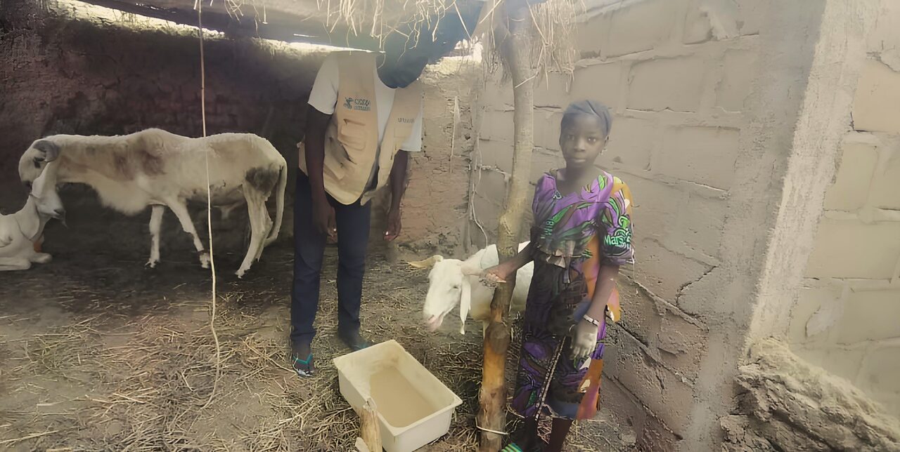 Mali. Un projet d'avenir pour les enfants et les adolescents les plus touchés par la crise