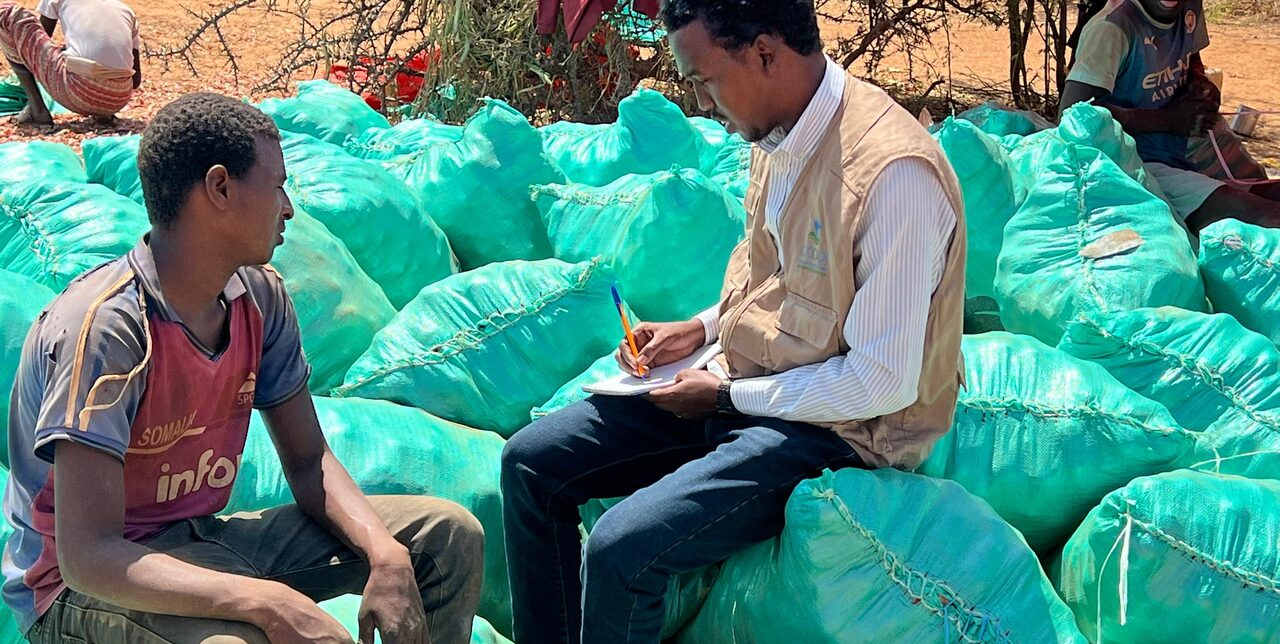 Somalia. Empowering farmers in Dollow District