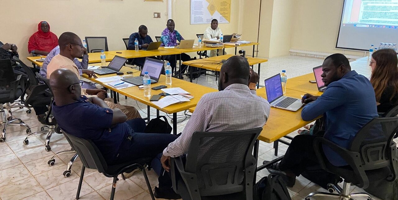 Niger. L'importance de la coordination pour une meilleure réponse aux crises