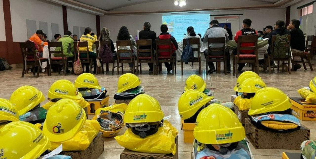 Amazonia+: Collective efforts to protect the Amazon forest