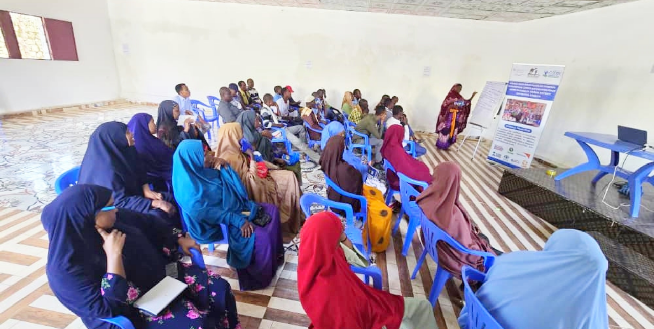 United for resilience: Community Action and Adaptation Plans transform Baidoa villages in Somalia