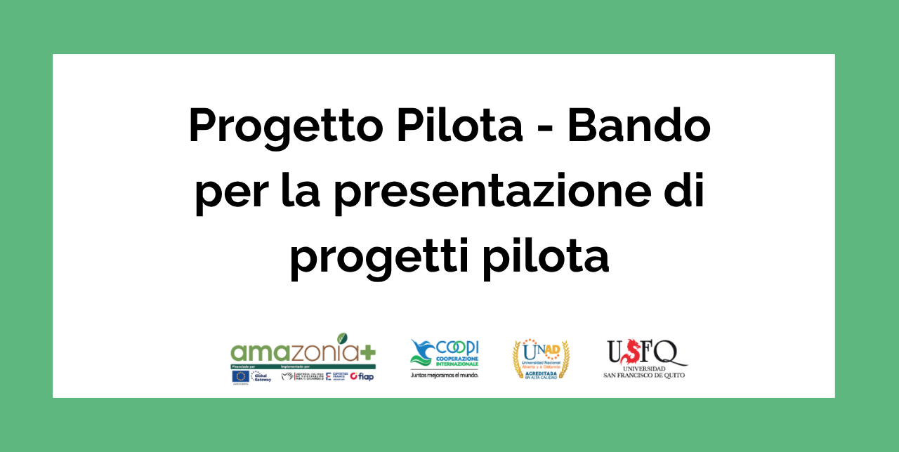 Convocatoria para proyectos piloto en la prevención de incendios y la deforestación. Programa Amazonia+