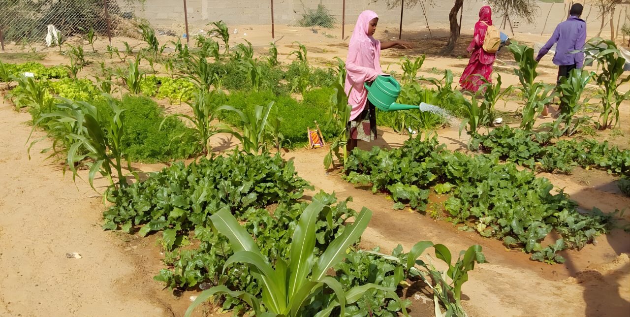 Niger. De l’urgence à la résilience : une réponse intégrée à l’insécurité alimentaire à Abalak