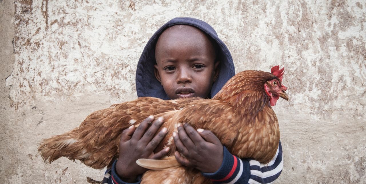 Ethiopia. Cash assistance: more than just money