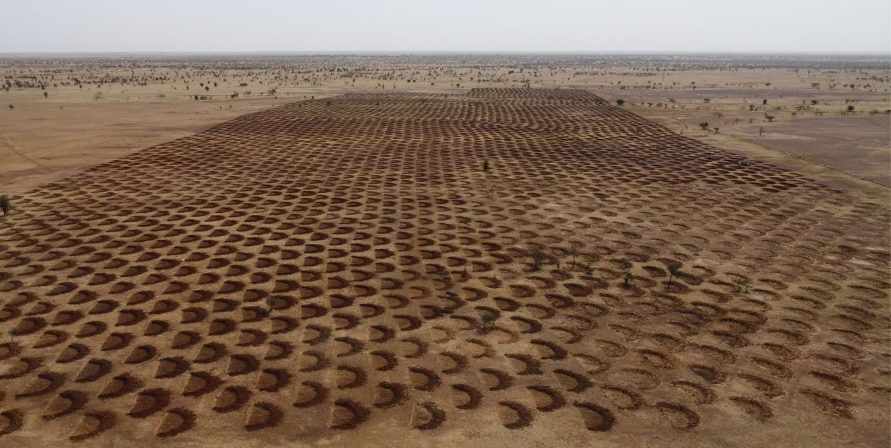 Mauritanie. Des demi-lunes pour lutter contre la désertification dans le Hodh El Chargui