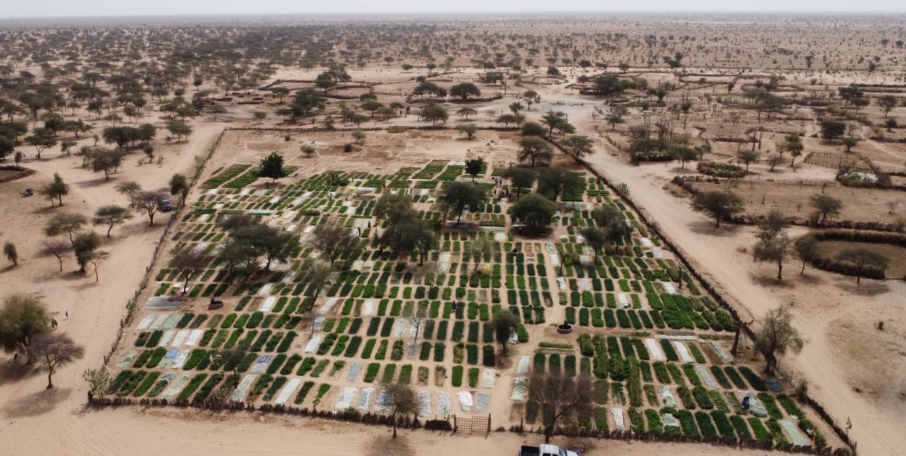 Mauritanie. D’une terre aride à une terre nourricière