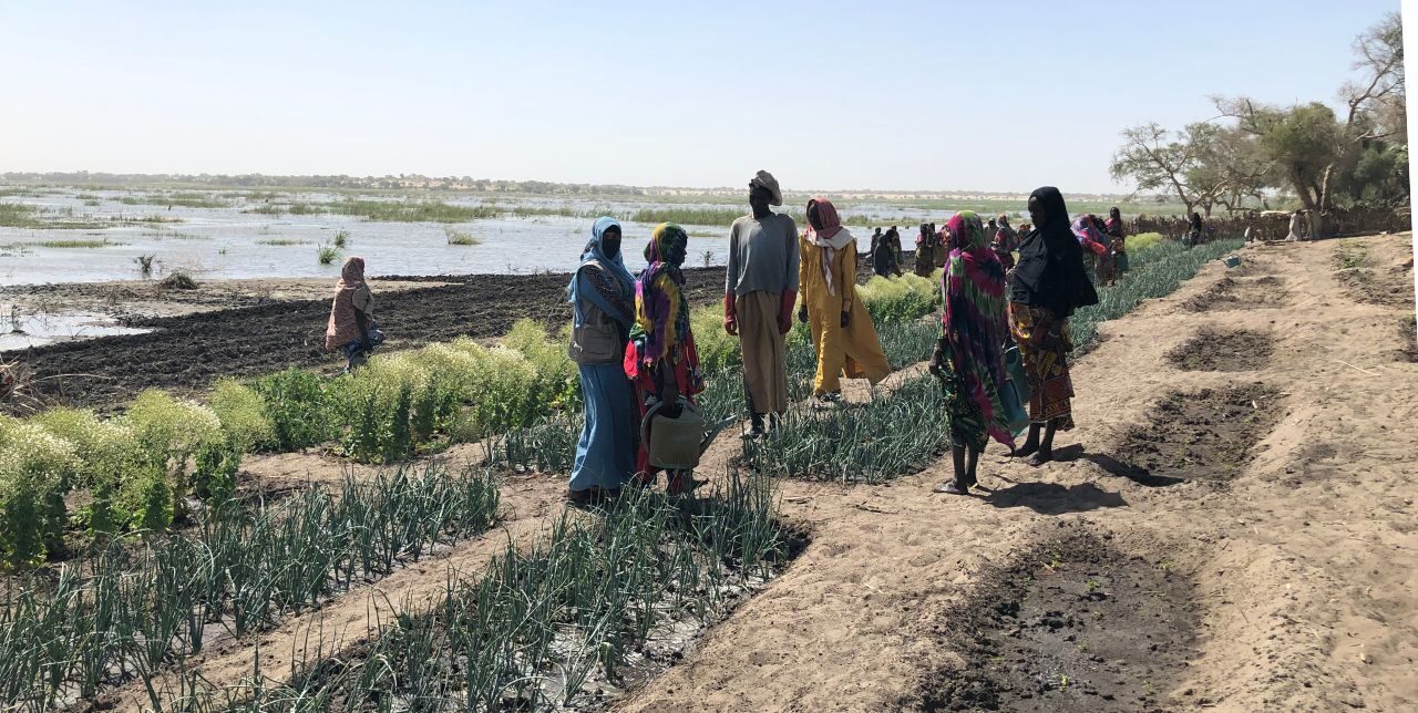 Tchad. Moins de conflits liés aux ressources et plus de revenus pour 4 500 personnes dans le Moyen-Chari