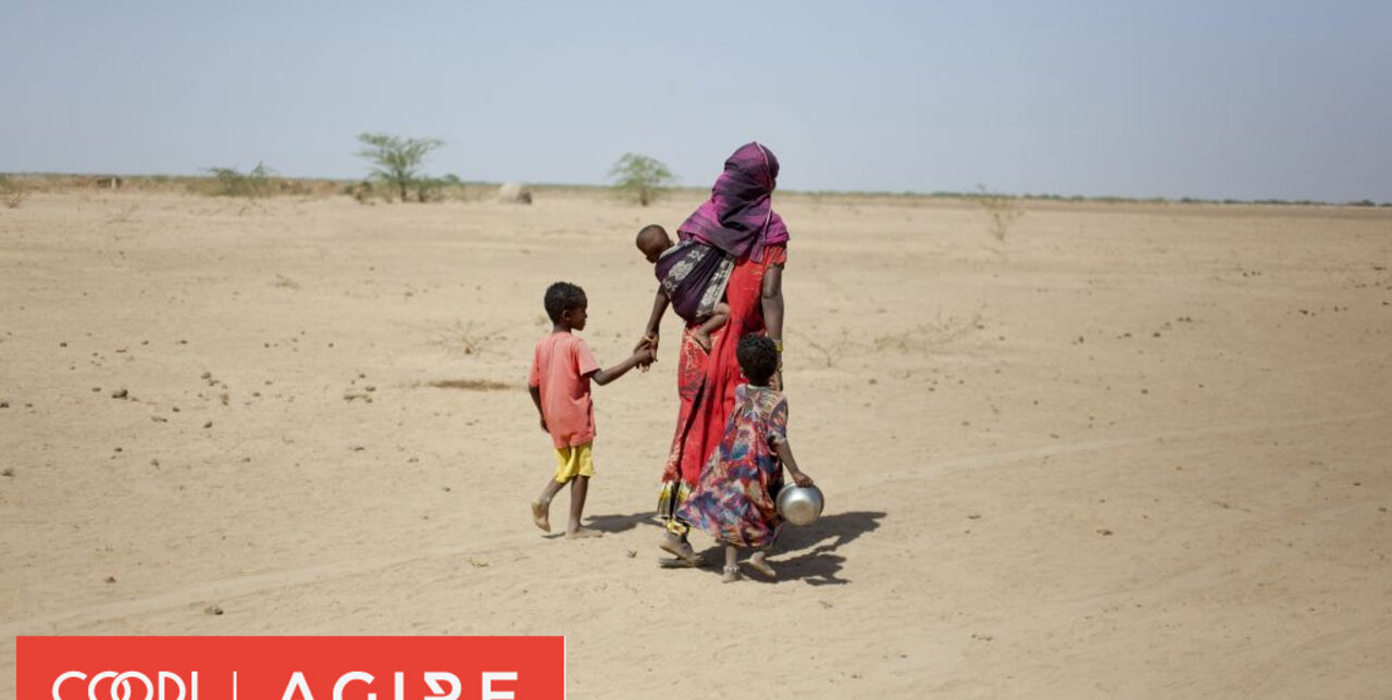 Giornata Mondiale per la Lotta alla Desertificazione e Siccità