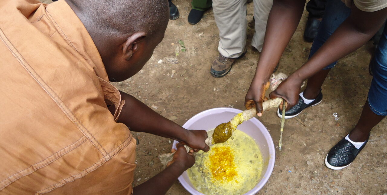 Sierra Leone, beekeeping training