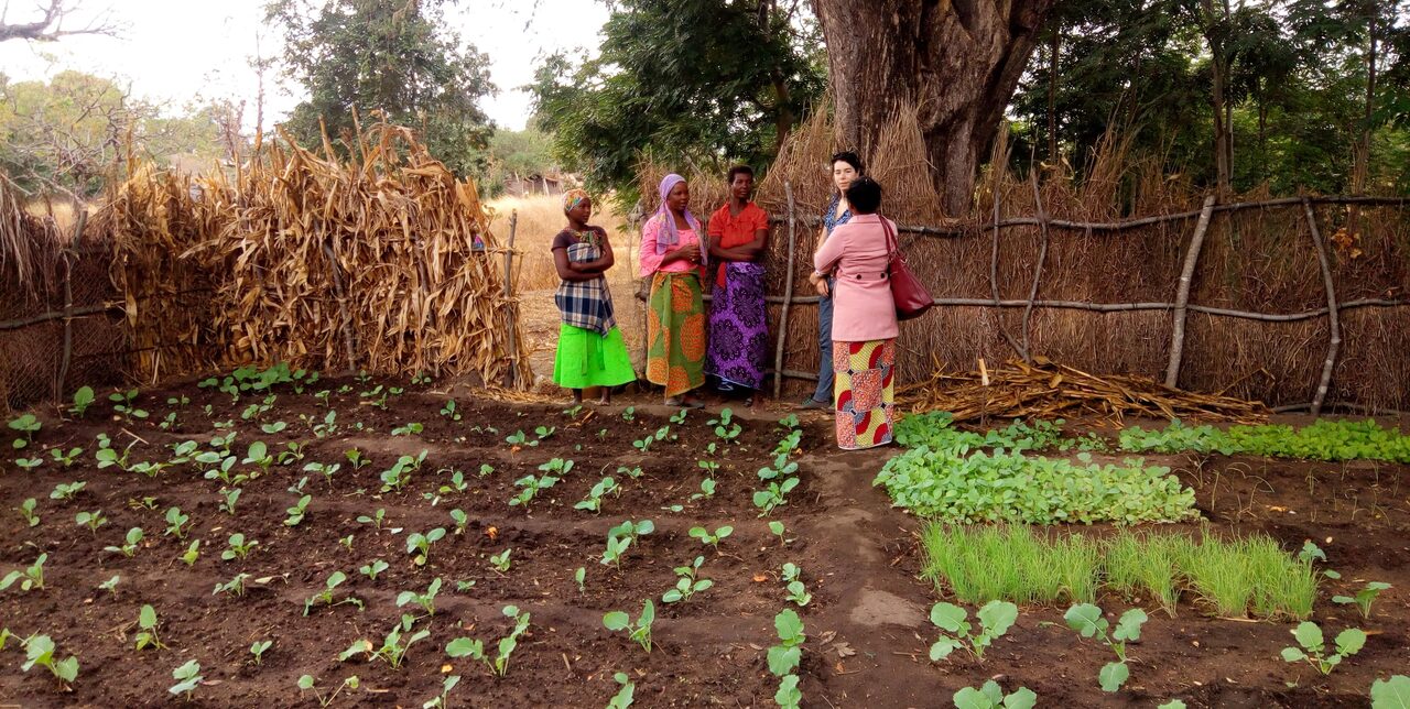 Malawi: visiting the project