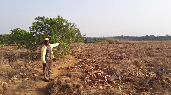 MAFF participates in the 1st Annual Cashew Farmers Assembly