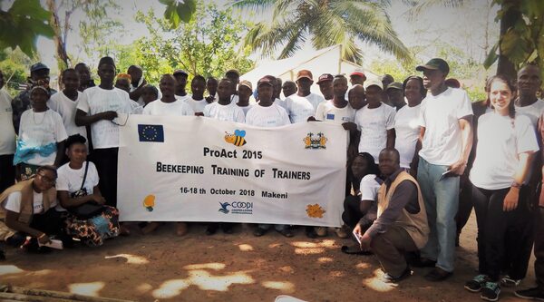 Sierra Leone: beekeeping and cashew farmers
