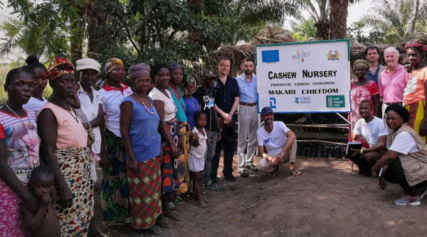 Sierra Leone: visiting members of the British Parliament