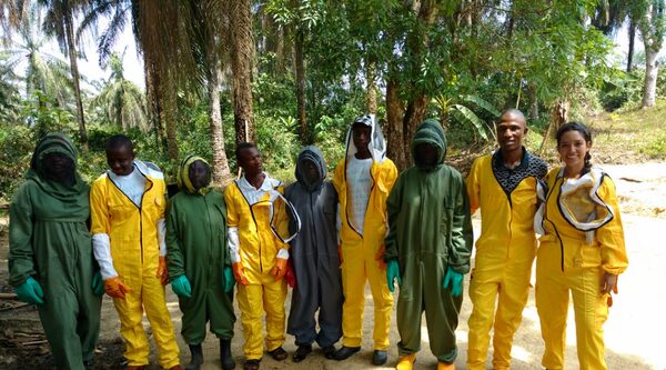 Sierra Leone: cashew growers are mastering beekeeping