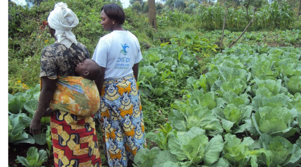 RDC, Kamiji : sécurité alimentaire et protection pour 87 000 personnes