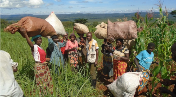RDC : plus de sécurité alimentaire pour sauver le parc de l'Upemba