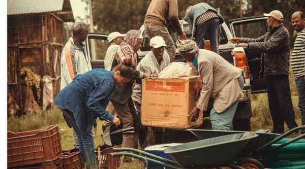 Etiopia: 40 tra giovani vulnerabili e rimpatriati avviati all'agricoltura