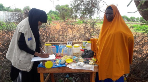 Mobile money per rafforzare il potere di acquisto in Somalia